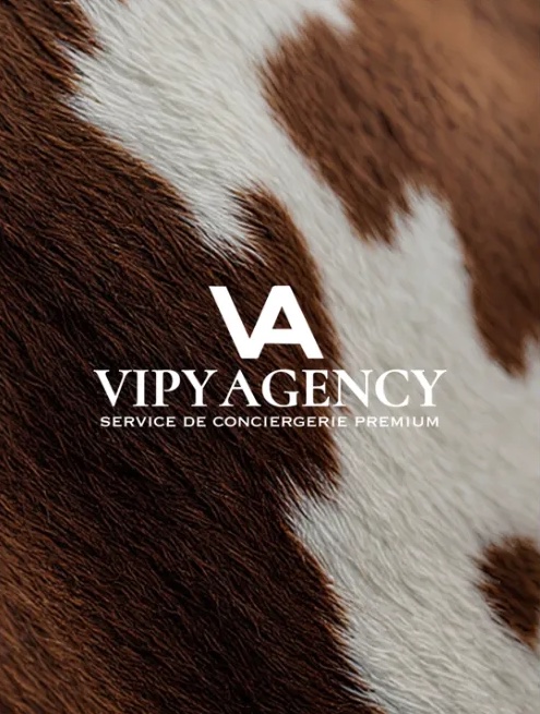 Vipy Agency, service de conciergerie premium